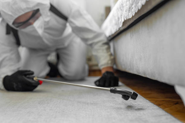Professional Ant Control technician working in McCullom Lake, IL