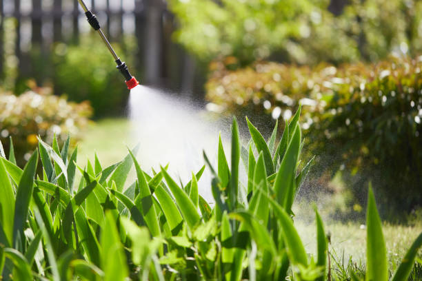 24/7 Emergency Ant Control experts in McCullom Lake, IL