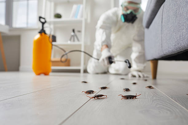 Trusted Termite Control service in McCullom Lake, IL - Nex Pest Control